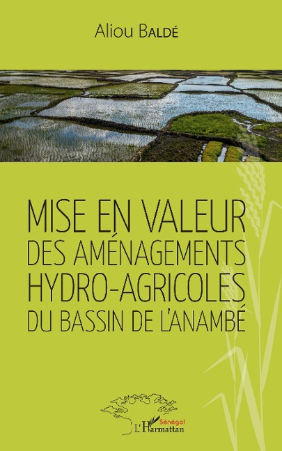 Mise en valeur des aménagements hydro-agricoles du bassin de l'Anambé - Aliou Baldé