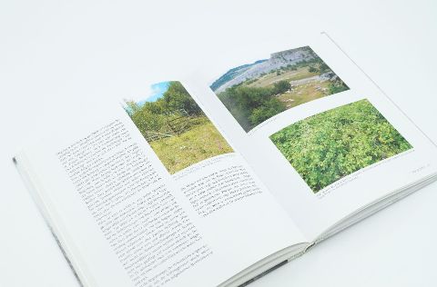 InsideView 5