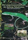 Die Langschwanzeidechsen der Gattung Takydromus - Uwe Schlüter