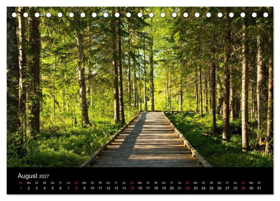 InsideView 13