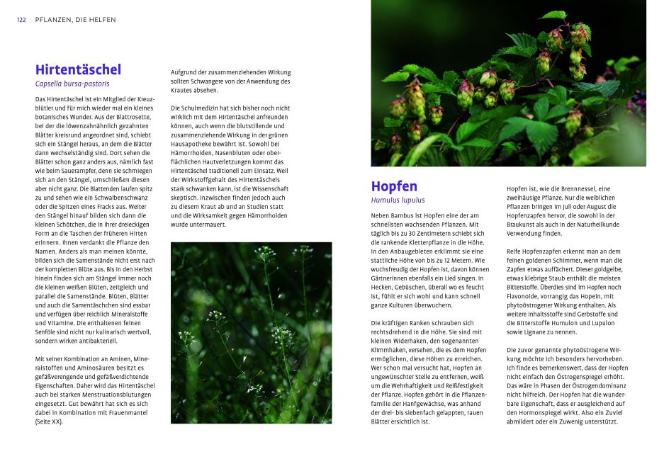 InsideView 4