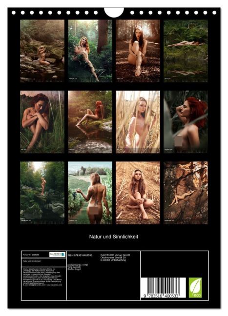InsideView 5