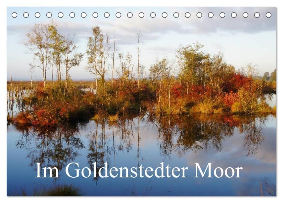 Im Goldenstedter Moor (Tischkalender 2025 DIN A5 quer), CALVENDO Monatskalender - Gudrun Nitzold-Briele