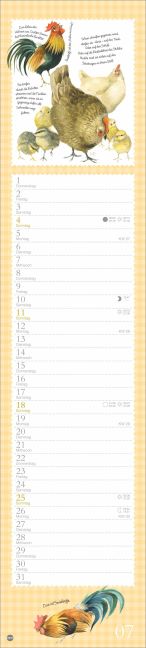 InsideView 7