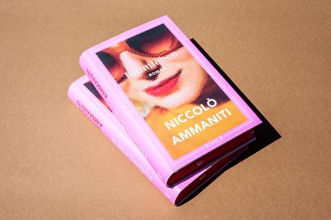 InsideView 1