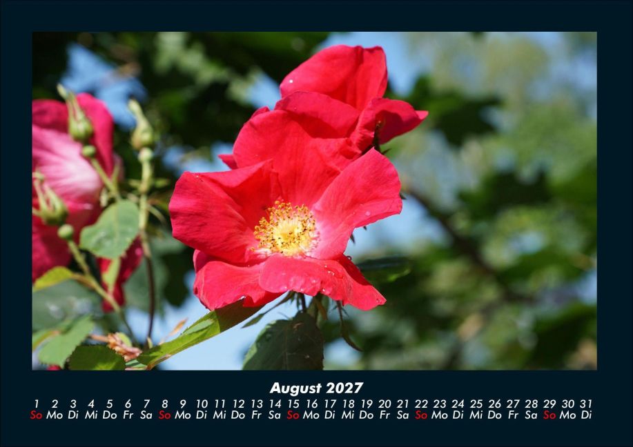 InsideView 12