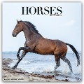 Horses - Pferde 2024 - 16-Monatskalender - Avonside Publishing Ltd