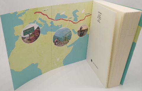 InsideView 3