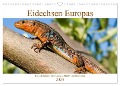 Eidechsen Europas (Wandkalender 2024 DIN A3 quer), CALVENDO Monatskalender - Wolfgang Simlinger