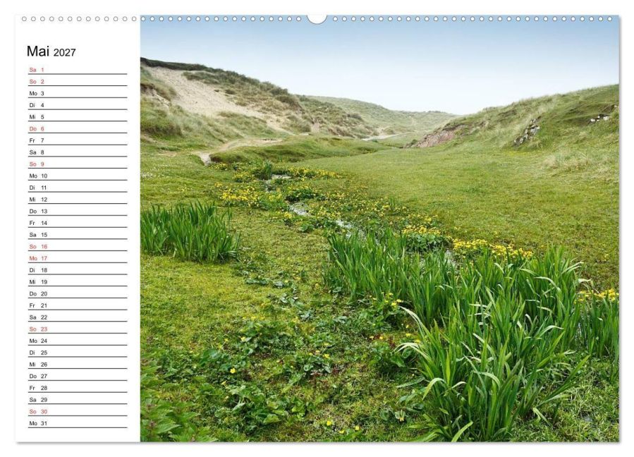 InsideView 10