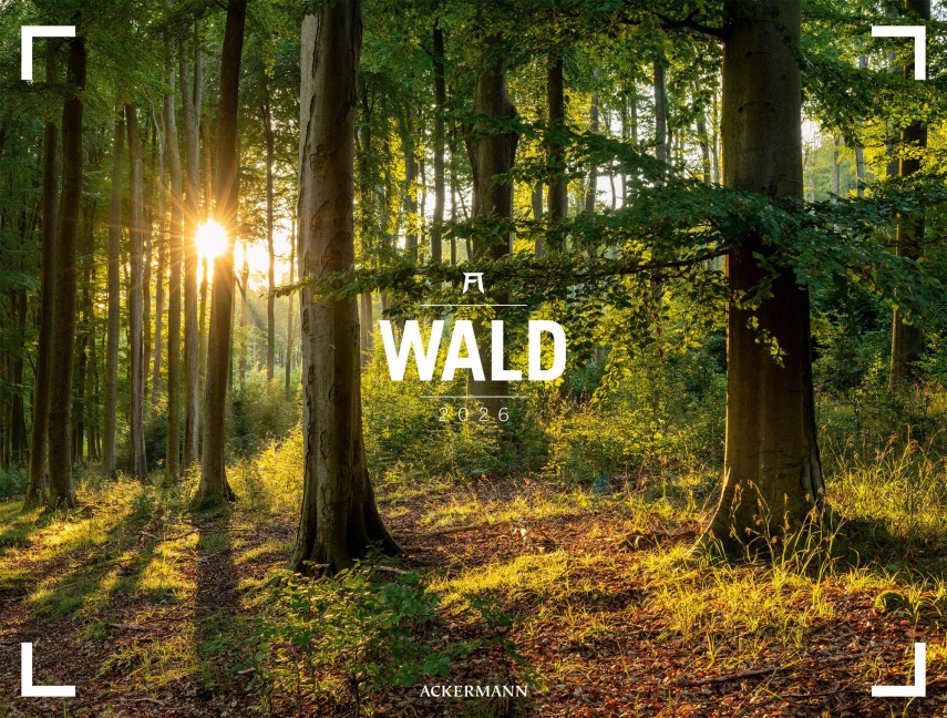 Wald Gallery Kalender 2026 - 