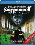 Cover-Bild zum Titel 'Der Steppenwolf' von 'Hermann Hesse, Fred Haines, George Gruntz'