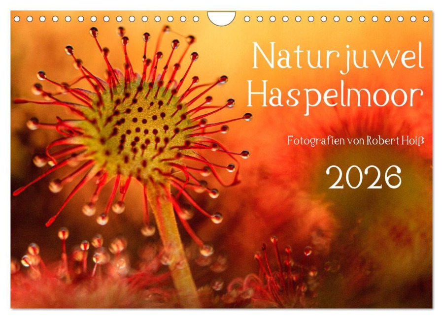 Naturjuwel Haspelmoor (Wandkalender 2026 DIN A4 quer), CALVENDO Monatskalender - Robert Hoiß