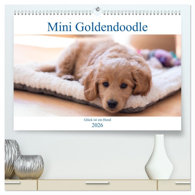 Mini Goldendoodle - Glück ist ein Hund (hochwertiger Premium Wandkalender 2026 DIN A2 quer), Kunstdruck in Hochglanz - Stephan Schulz