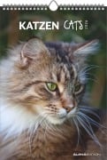 Katzen 2026 - Bildkalender 23,7x34 cm - Kalender mit Platz für Notizen - mit vielen Zusatzinformationen - Cats - Wandkalender - Alpha Edition - 