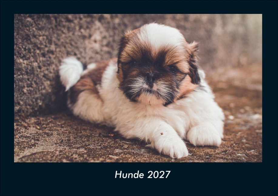 Hunde 2027 Fotokalender DIN A4 - Tobias Schmitt, Kevin Heber