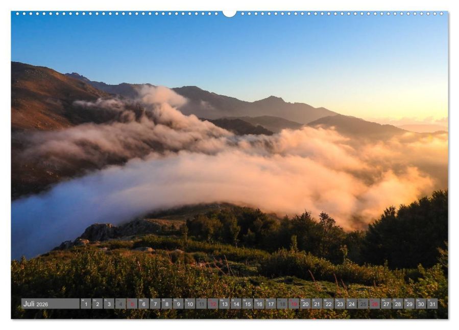 InsideView 12