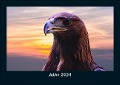Adler 2024 Fotokalender DIN A5 - Tobias Becker