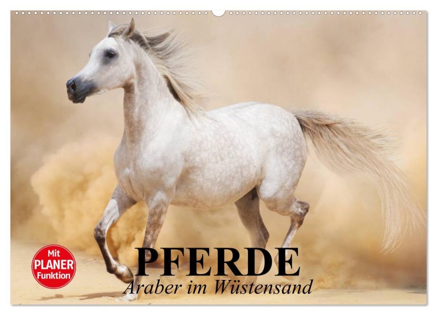 Pferde. Araber im Wüstensand (Wandkalender 2026 DIN A2 quer), CALVENDO Monatskalender - Elisabeth Stanzer