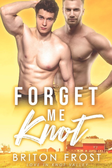Forget Me Knot: An Mpreg Romance (Love in Knot Valley, #1) - Briton Frost