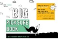 The Big PickSure Book - Inbar Hyams
