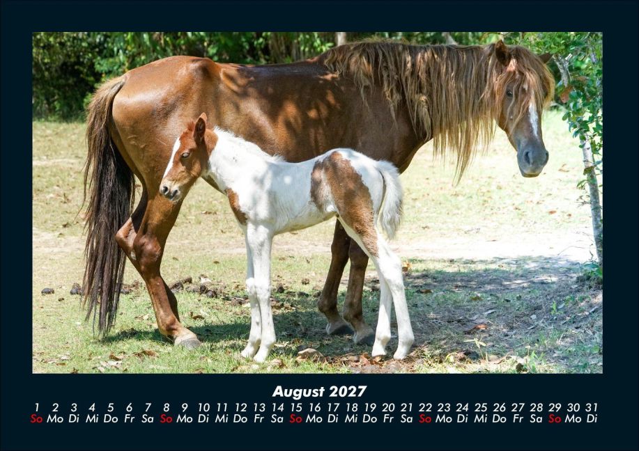 InsideView 12
