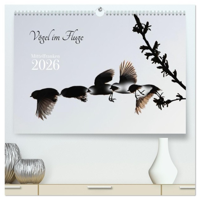 Vögel im Fluge (hochwertiger Premium Wandkalender 2026 DIN A2 quer), Kunstdruck in Hochglanz - Klaus Meyer