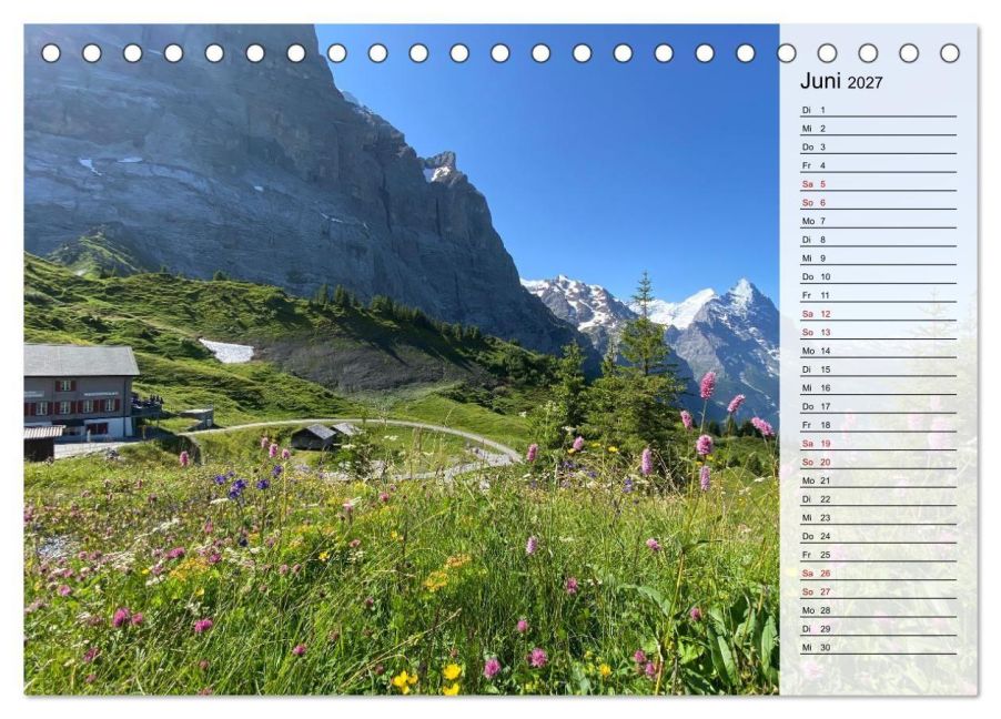 InsideView 11