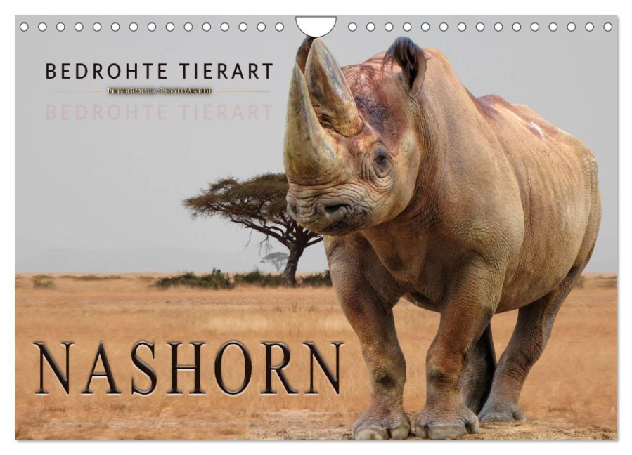 Bedrohte Tierart - Nashorn (Wandkalender 2026 DIN A4 quer), CALVENDO Monatskalender - Peter Roder