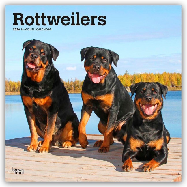Rottweilers - Rottweiler 2026 - 16-Monatskalender - Browntrout Publishers