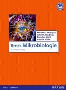 Cover-Bild zum Titel 'Brock Mikrobiologie' von 'Michael T. Madigan, John M. Martinko, David A. Stahl, David P. Clark'