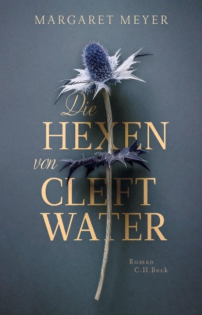 Die Hexen von Cleftwater - Margaret Meyer