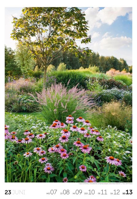 InsideView 24