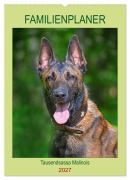 Cover-Bild zum Titel 'Familienplaner Tausendsassa Malinois (Wandkalender 2027 DIN A2 hoch), CALVENDO Monatskalender' von 'Sigrid Starick'