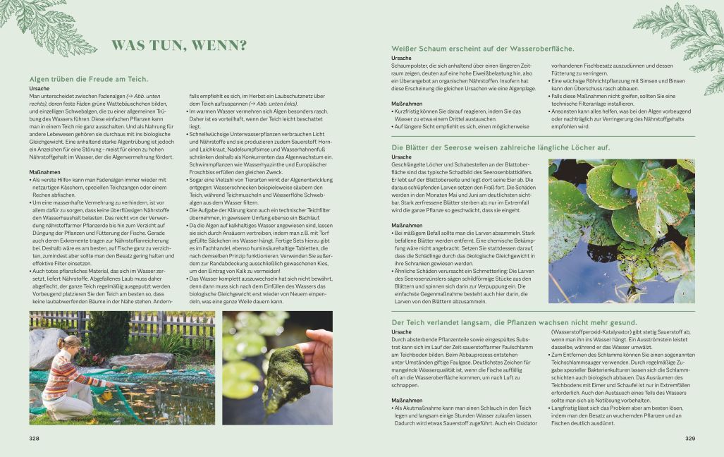 InsideView 8