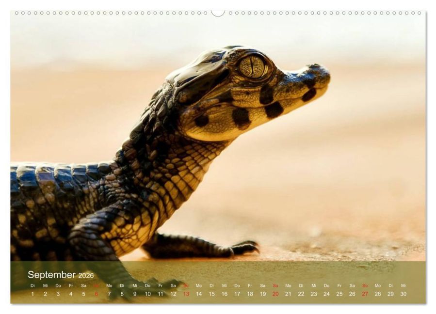 InsideView 14