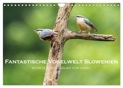 Cover-Bild zum Titel 'Fantastische Vogelwelt Slowenien (Wandkalender 2026 DIN A4 quer), CALVENDO Monatskalender' von 'Stephan Peyer'