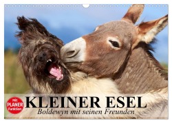 Cover-Bild zum Titel 'Kleiner Esel. Boldewyn mit seinen Freunden (Wandkalender 2026 DIN A3 quer), CALVENDO Monatskalender' von 'Elisabeth Stanzer'