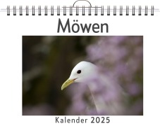 Cover-Bild zum Titel 'Möwen' von 'Leah Lehmann'
