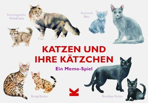 Katzen und ihre Kätzchen - 