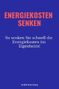 Cover-Bild zum Titel 'Energiekosten senkenEnergiekosten senken' von 'Andre Sternberg'