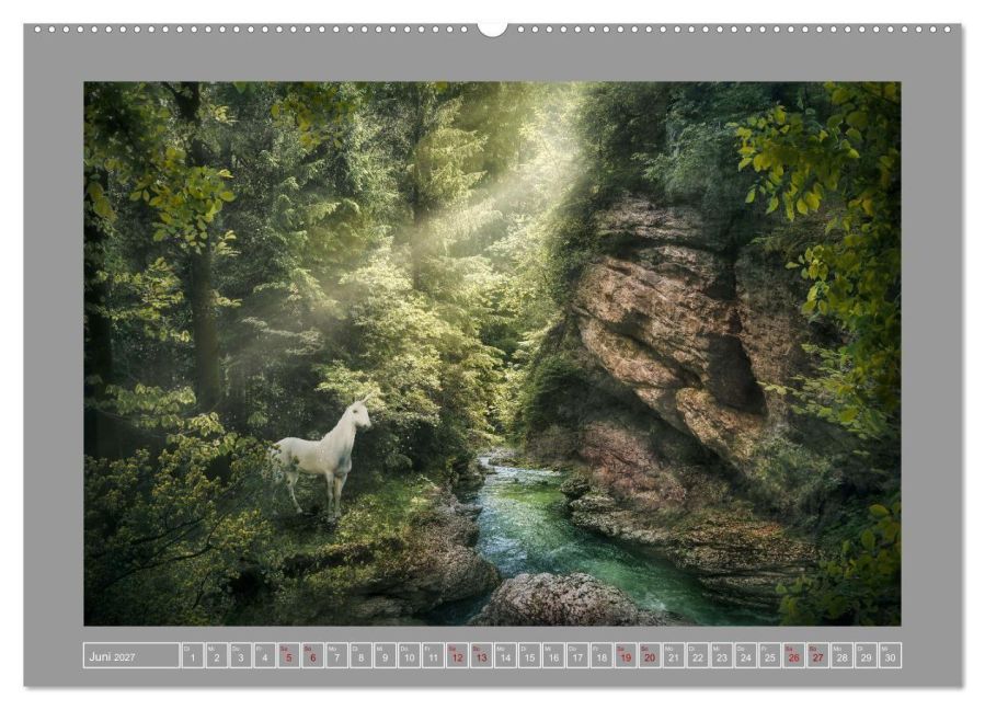 InsideView 8