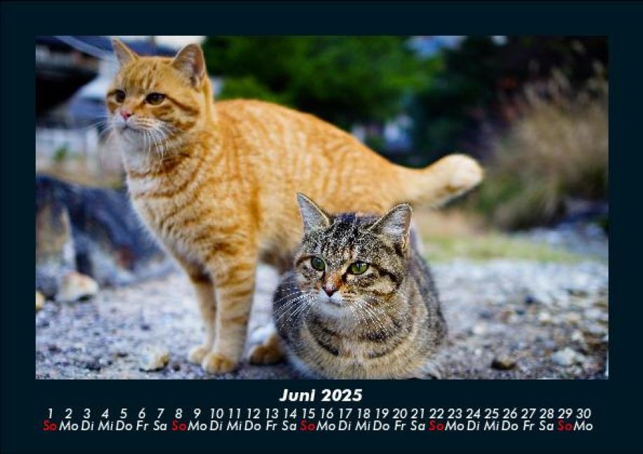 InsideView 10