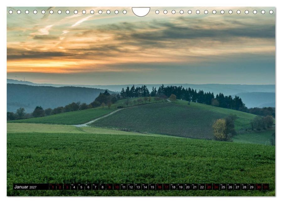 InsideView 6