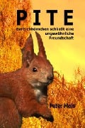 Cover-Bild zum Titel 'P I T E' von 'Peter Mois'