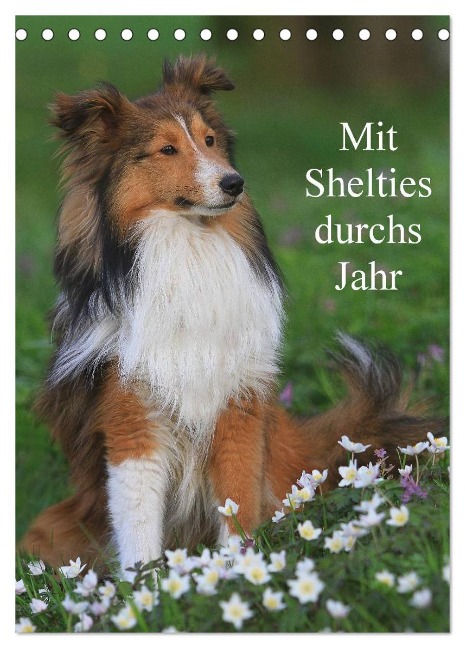 Mit Shelties durchs Jahr (Tischkalender 2025 DIN A5 hoch), CALVENDO Monatskalender - Marion Reiß - Seibert