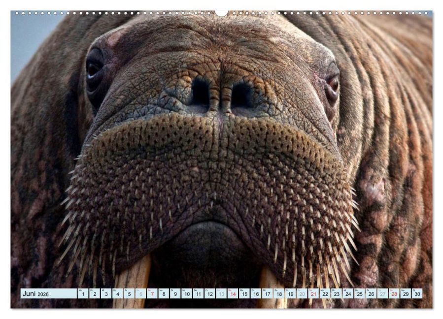 InsideView 11