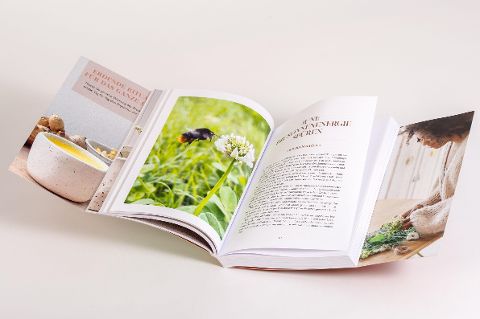 InsideView 6