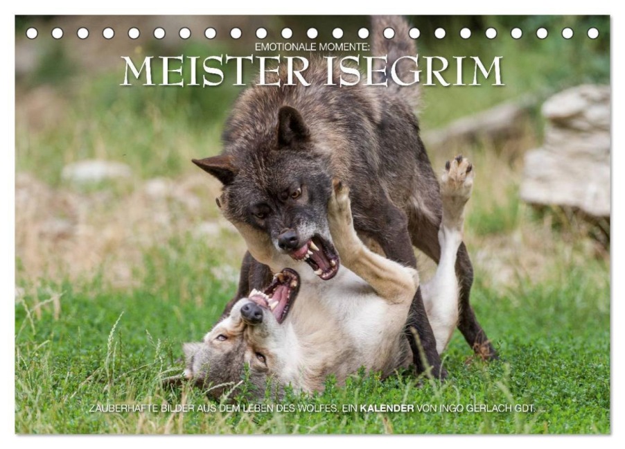 Meister Isegrim (Tischkalender 2026 DIN A5 quer), CALVENDO Monatskalender - Ingo Gerlach GDT
