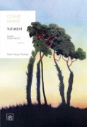 Cover-Bild zum Titel 'Tutukevi' von 'Cesare Pavese'